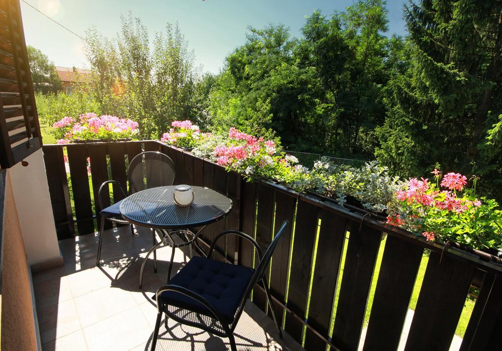 Countryside Apartment Rakovica Buitenkant foto