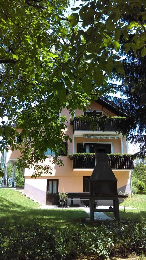 Countryside Apartment Rakovica Buitenkant foto